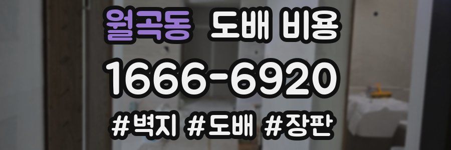 월곡동 도배 비용