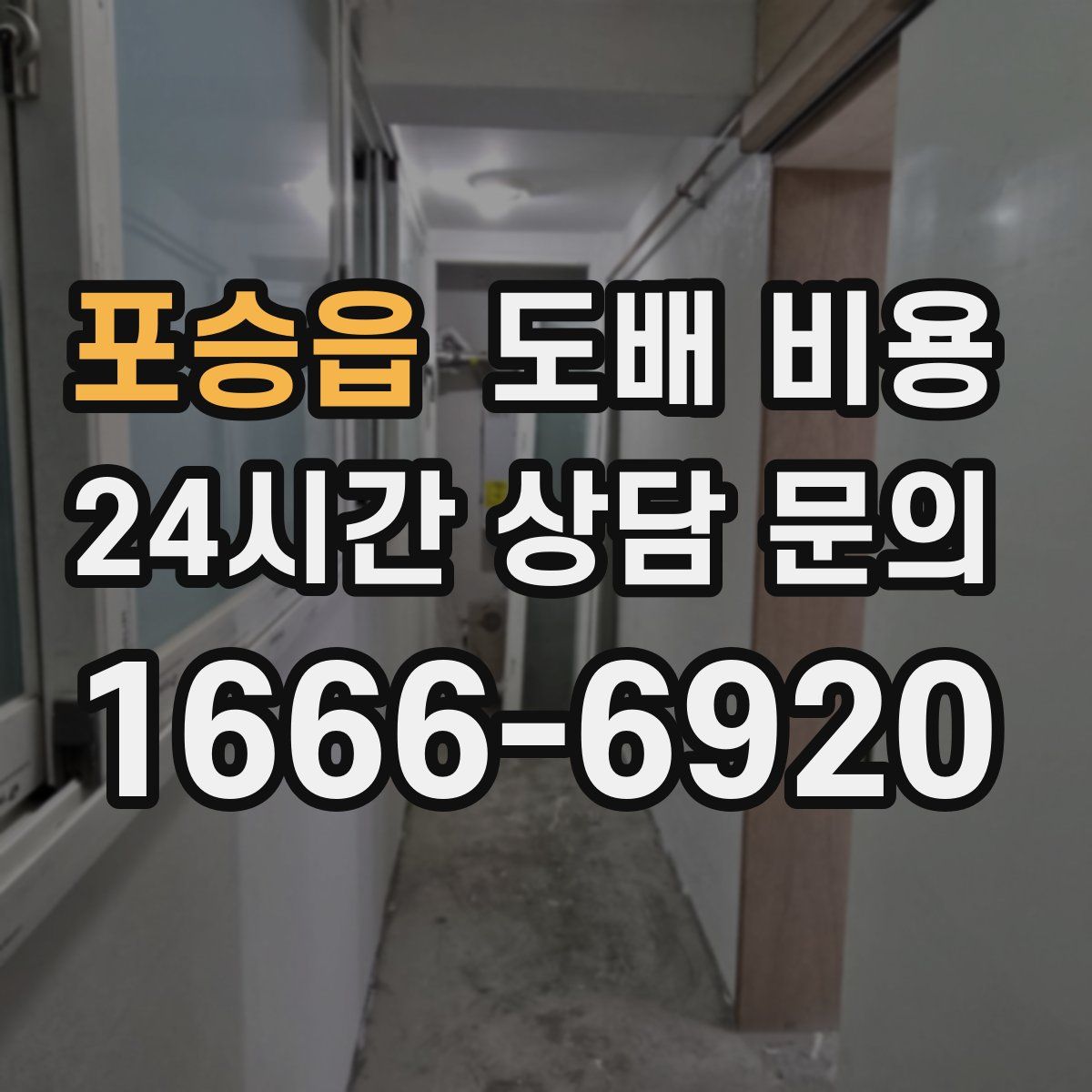 포승읍 도배 비용