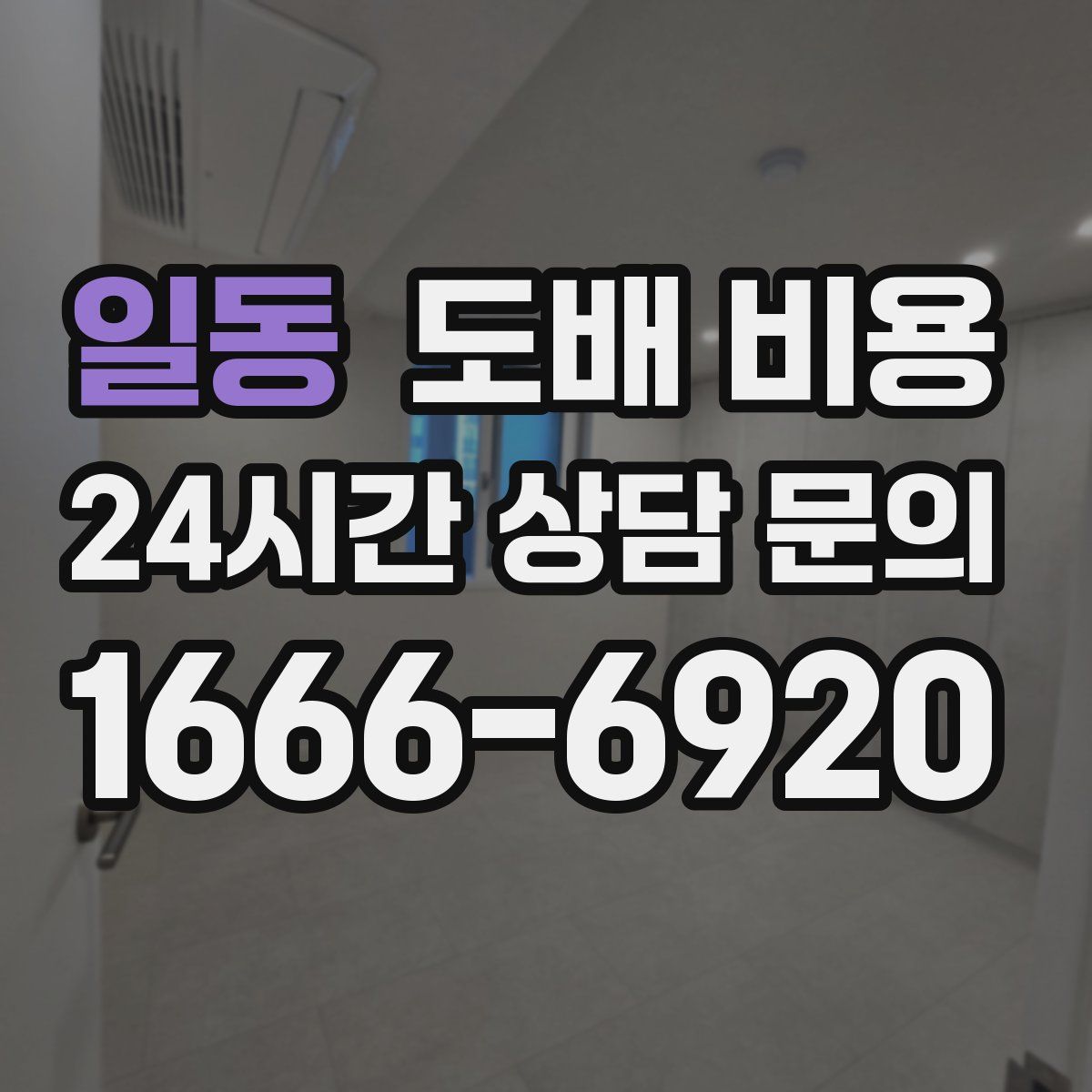 일동 도배 비용