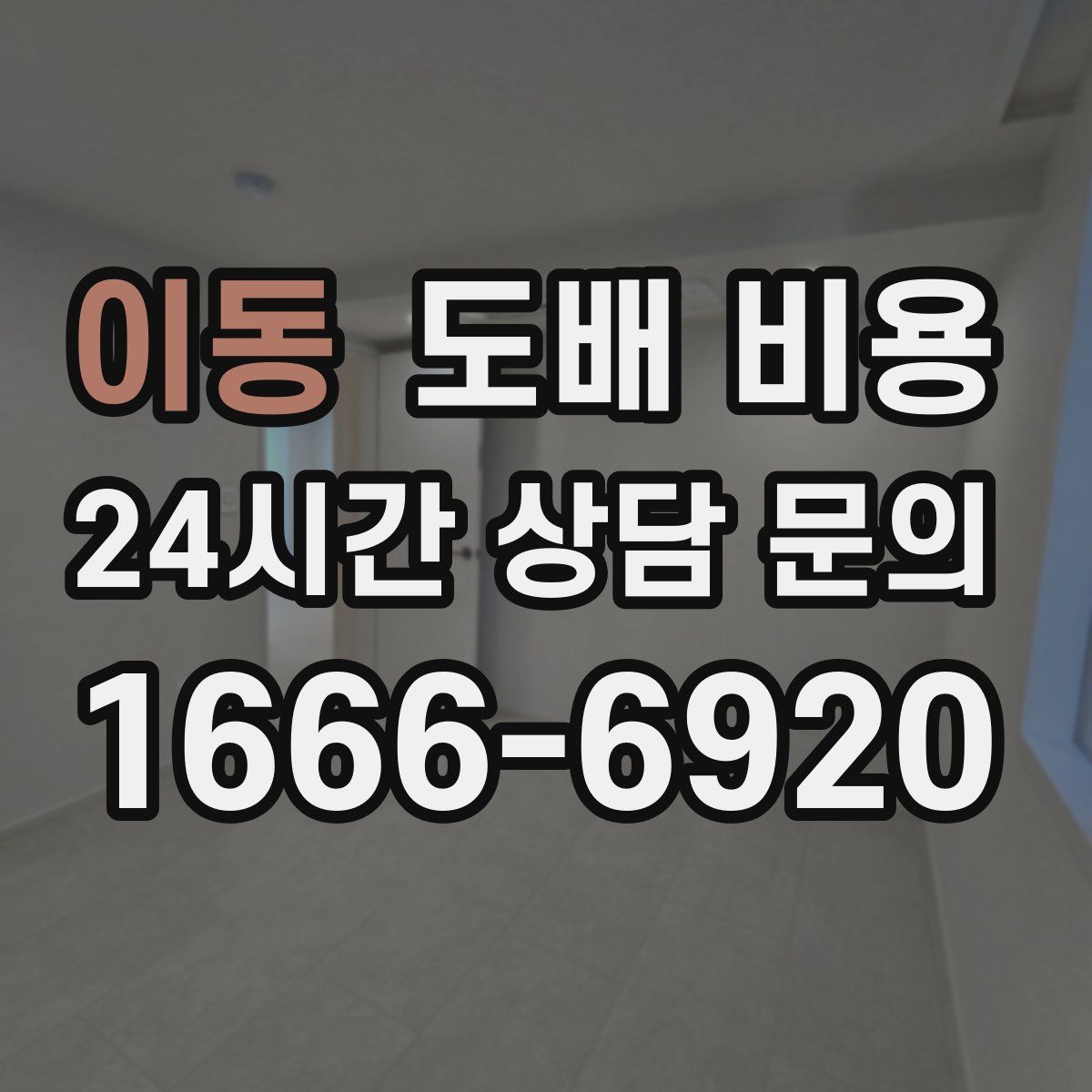 이동 도배 비용