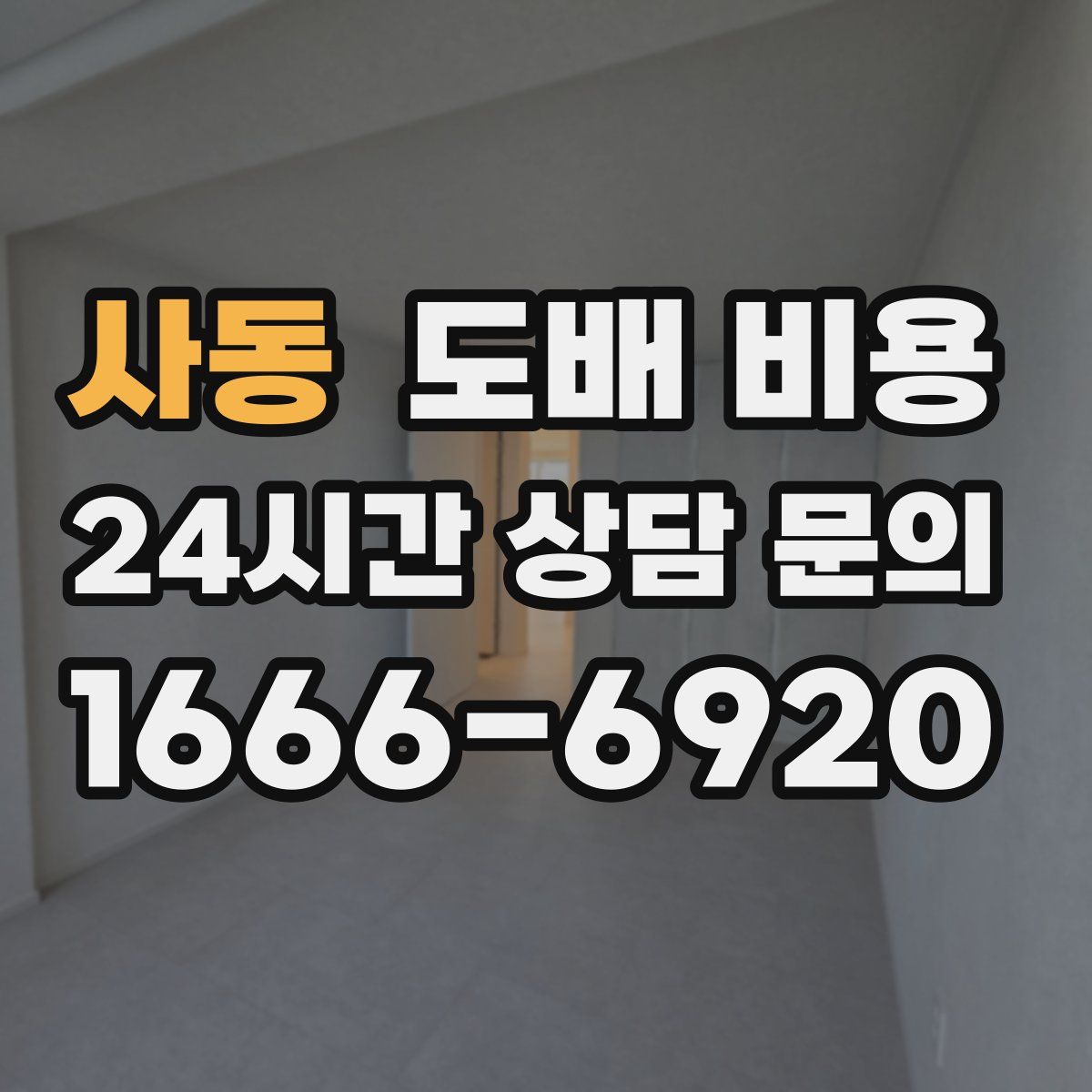 사동 도배 비용