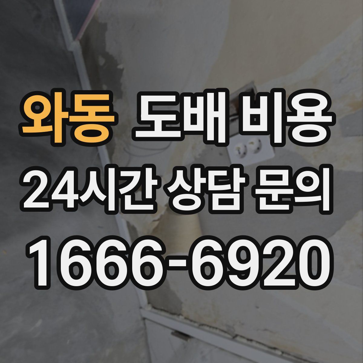 와동 도배 비용
