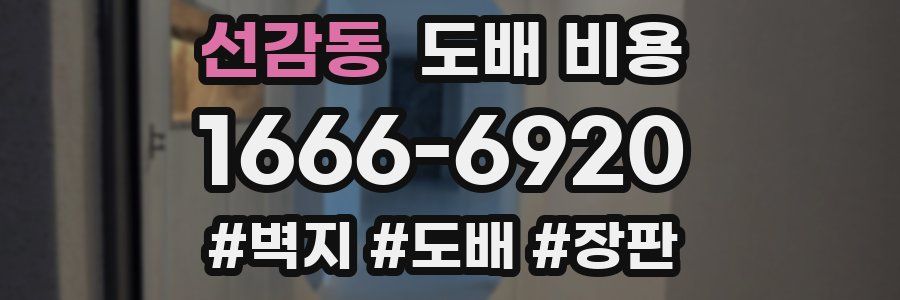 선감동 도배 비용