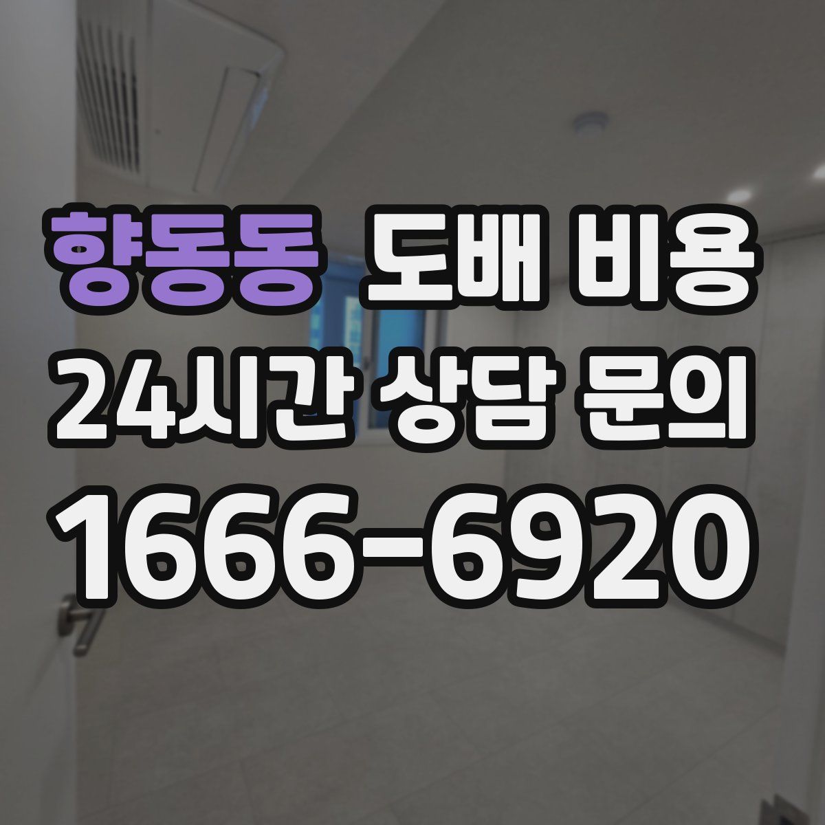 향동동 도배 비용