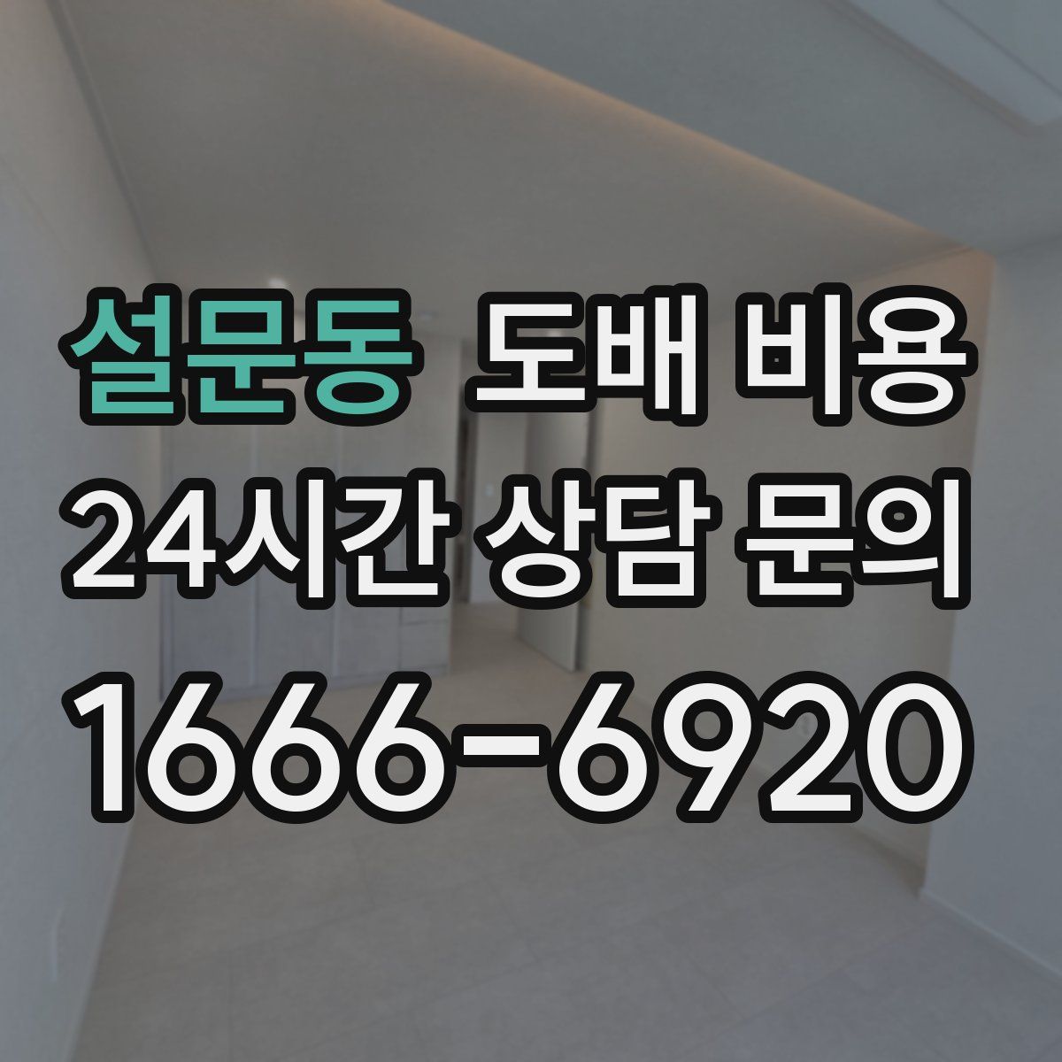 설문동 도배 비용