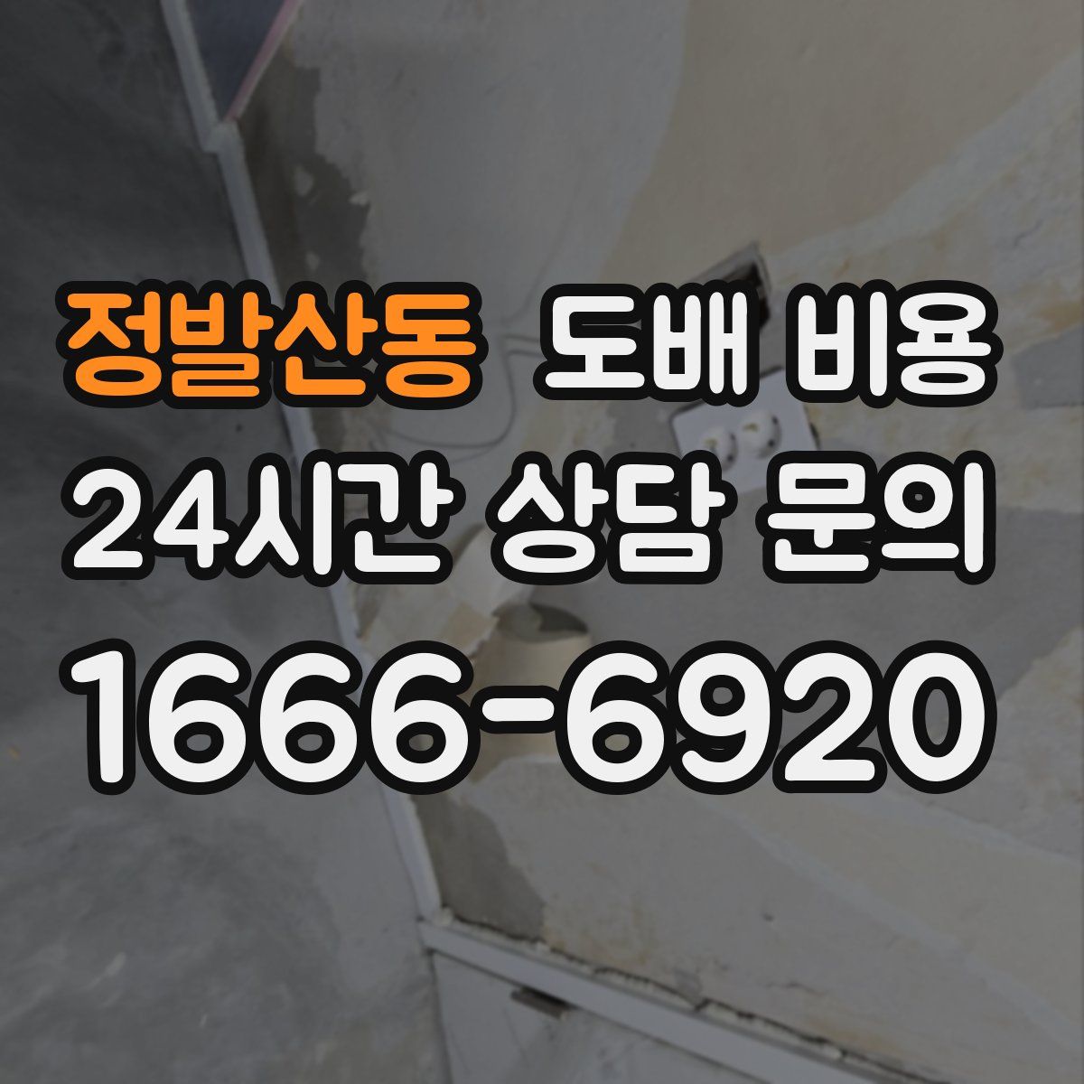 정발산동 도배 비용