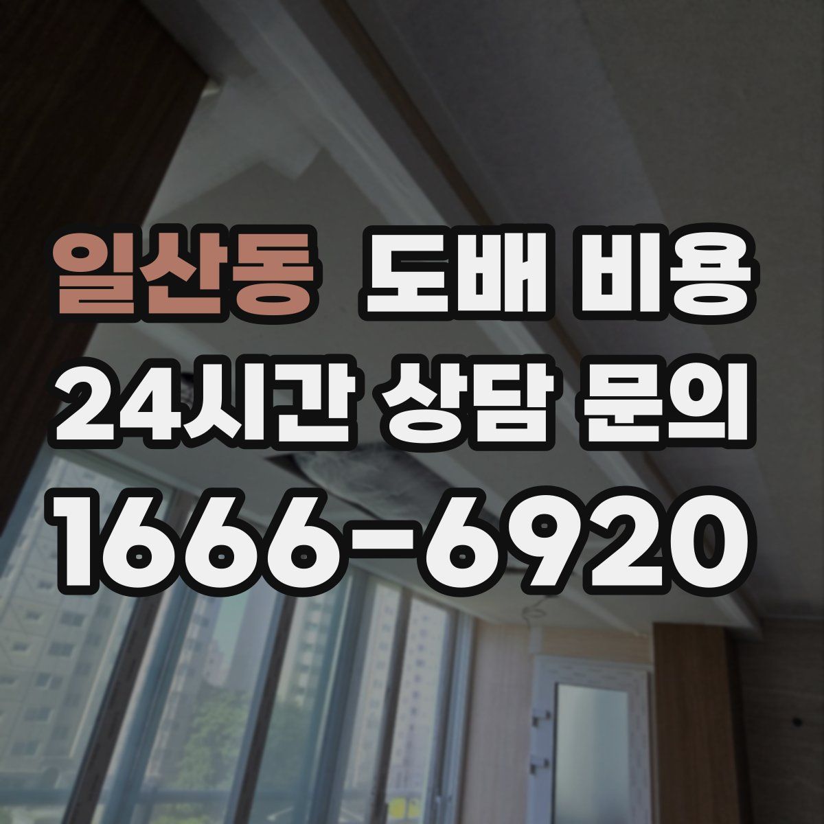 일산동 도배 비용