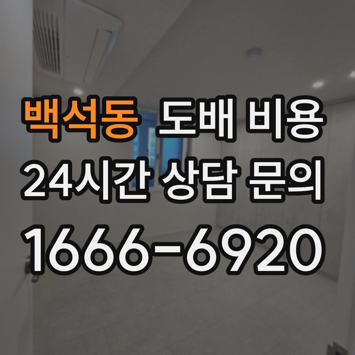 백석동 도배 비용