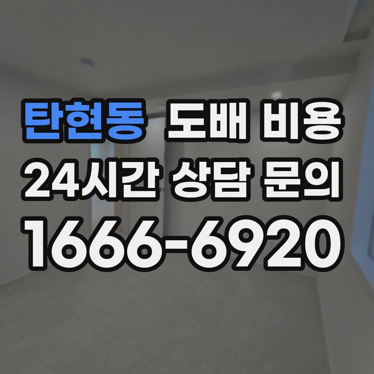 탄현동 도배 비용