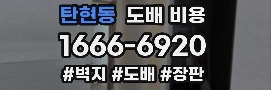 탄현동 도배 비용