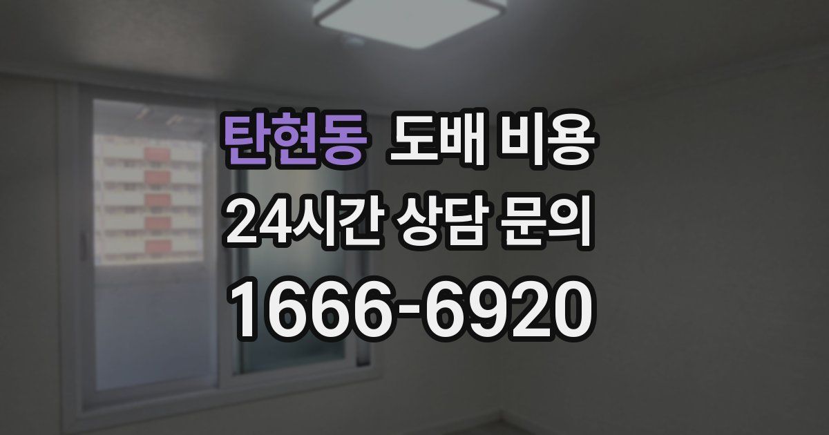 탄현동 도배 비용