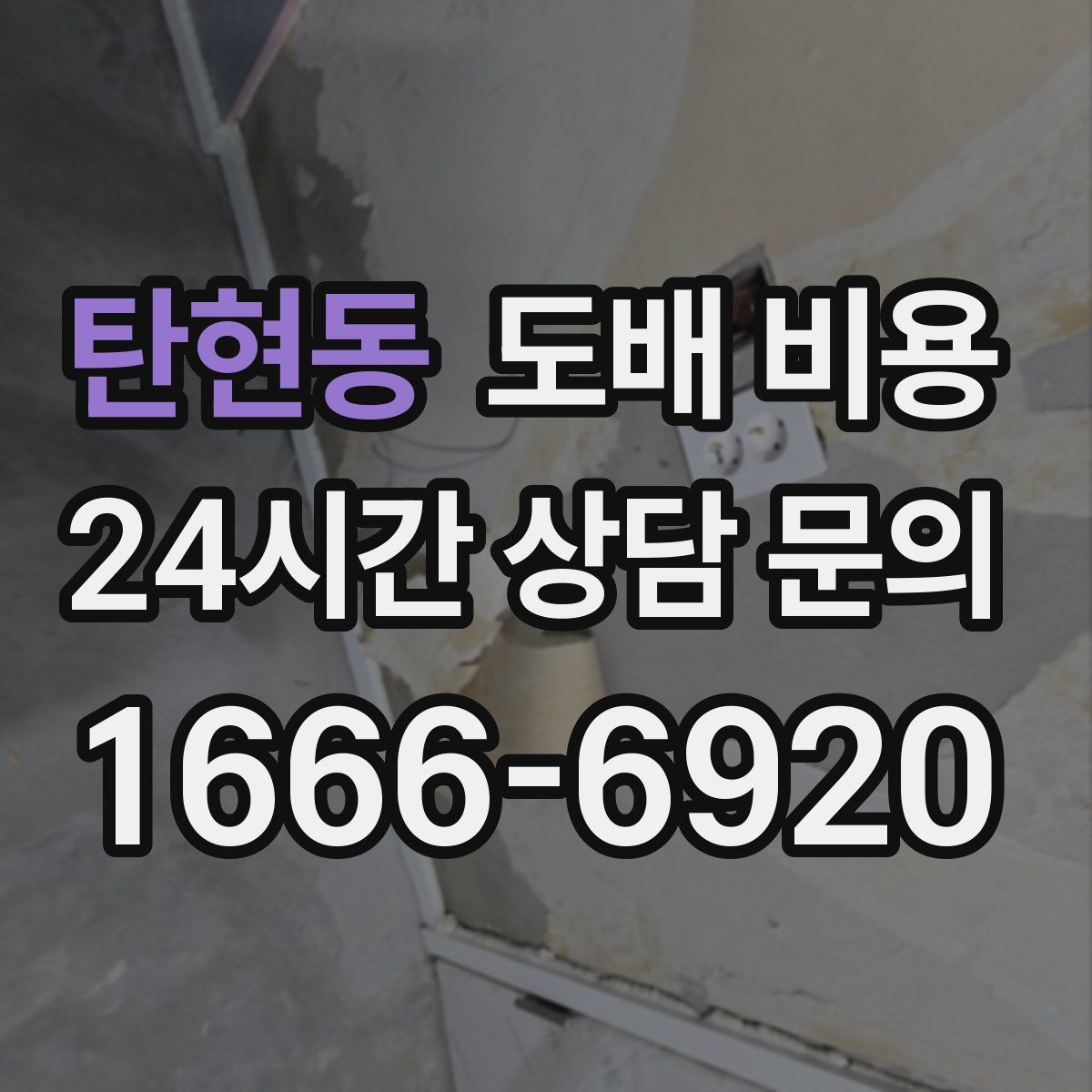 탄현동 도배 비용