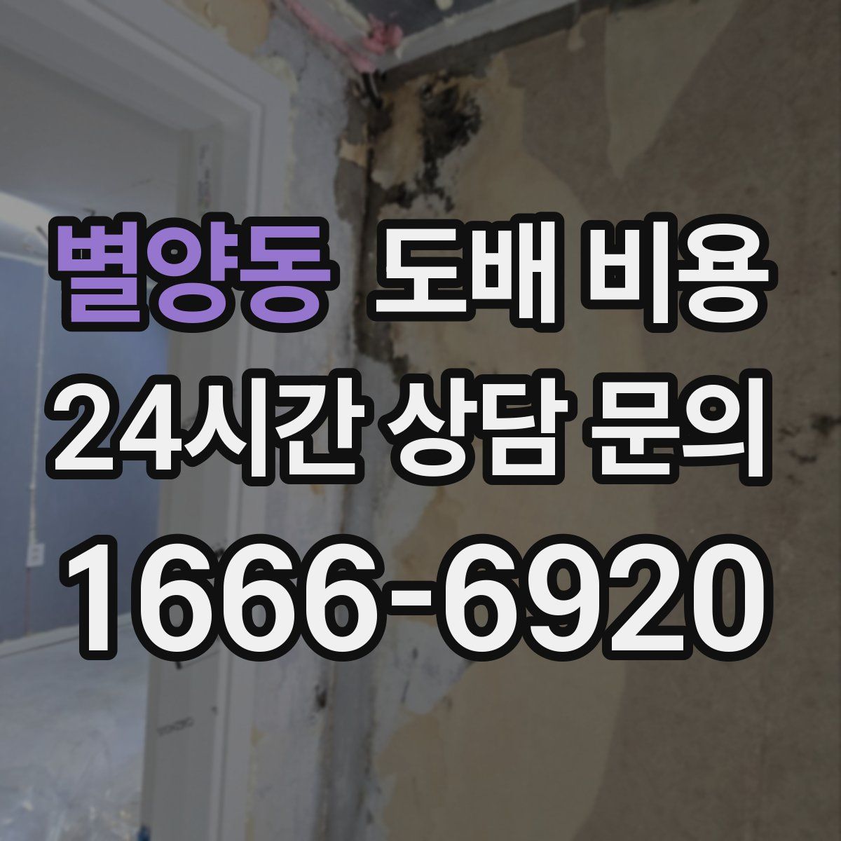 별양동 도배 비용
