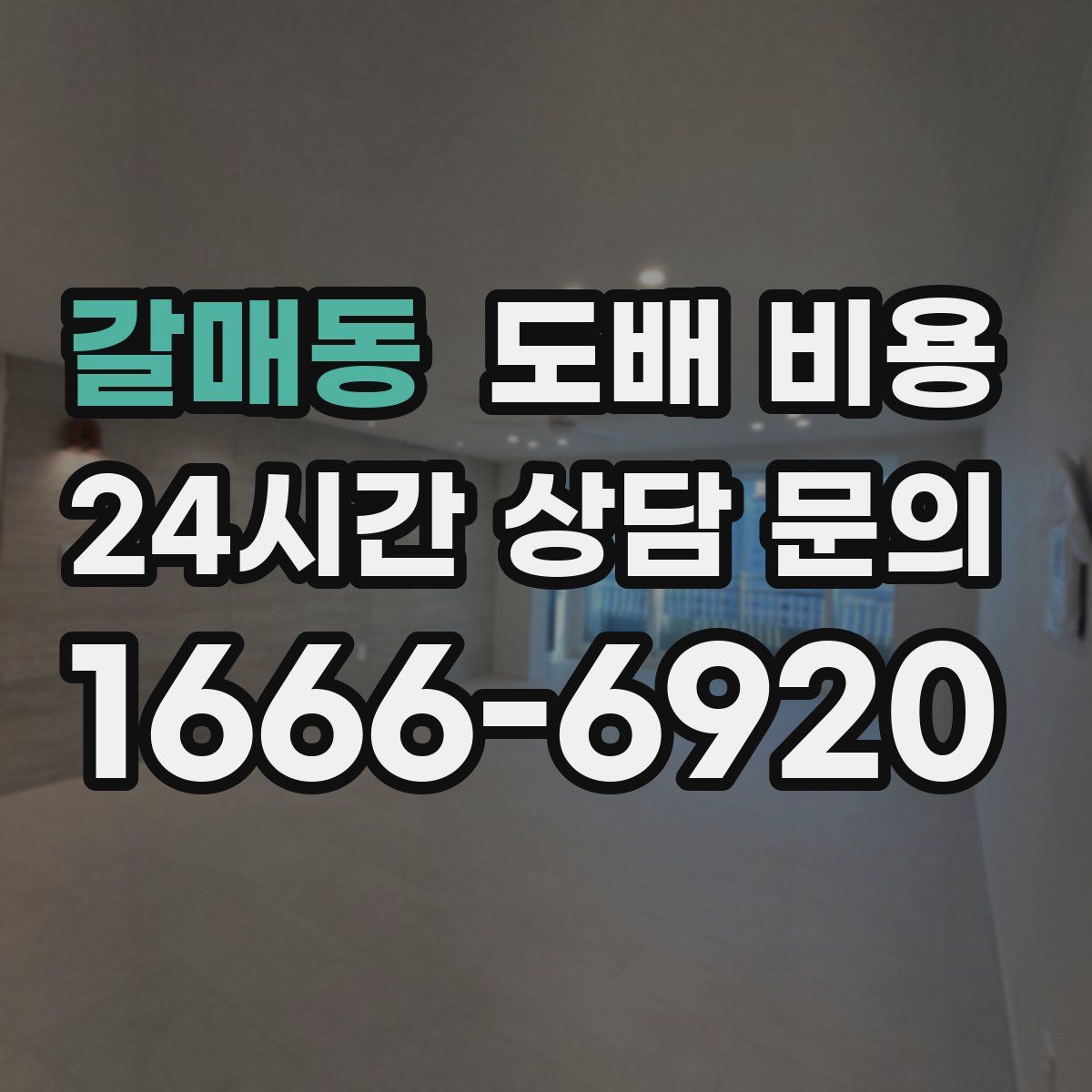 갈매동 도배 비용