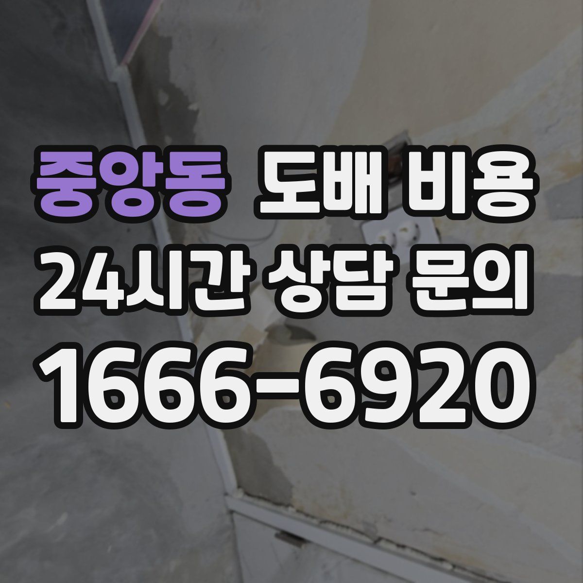 중앙동 도배 비용