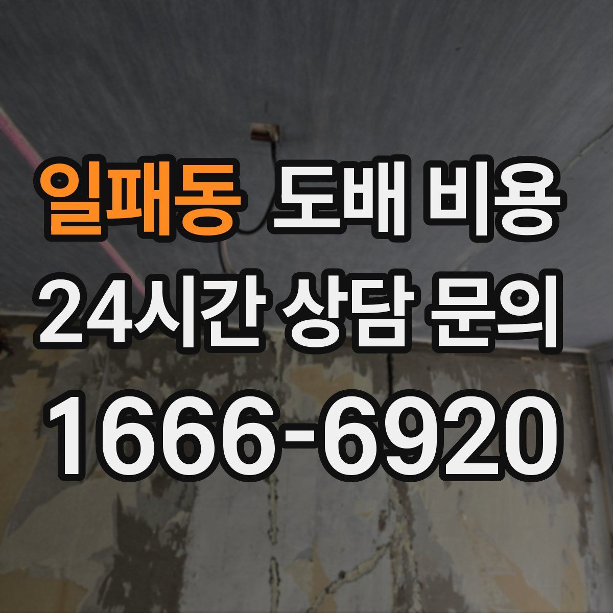 일패동 도배 비용