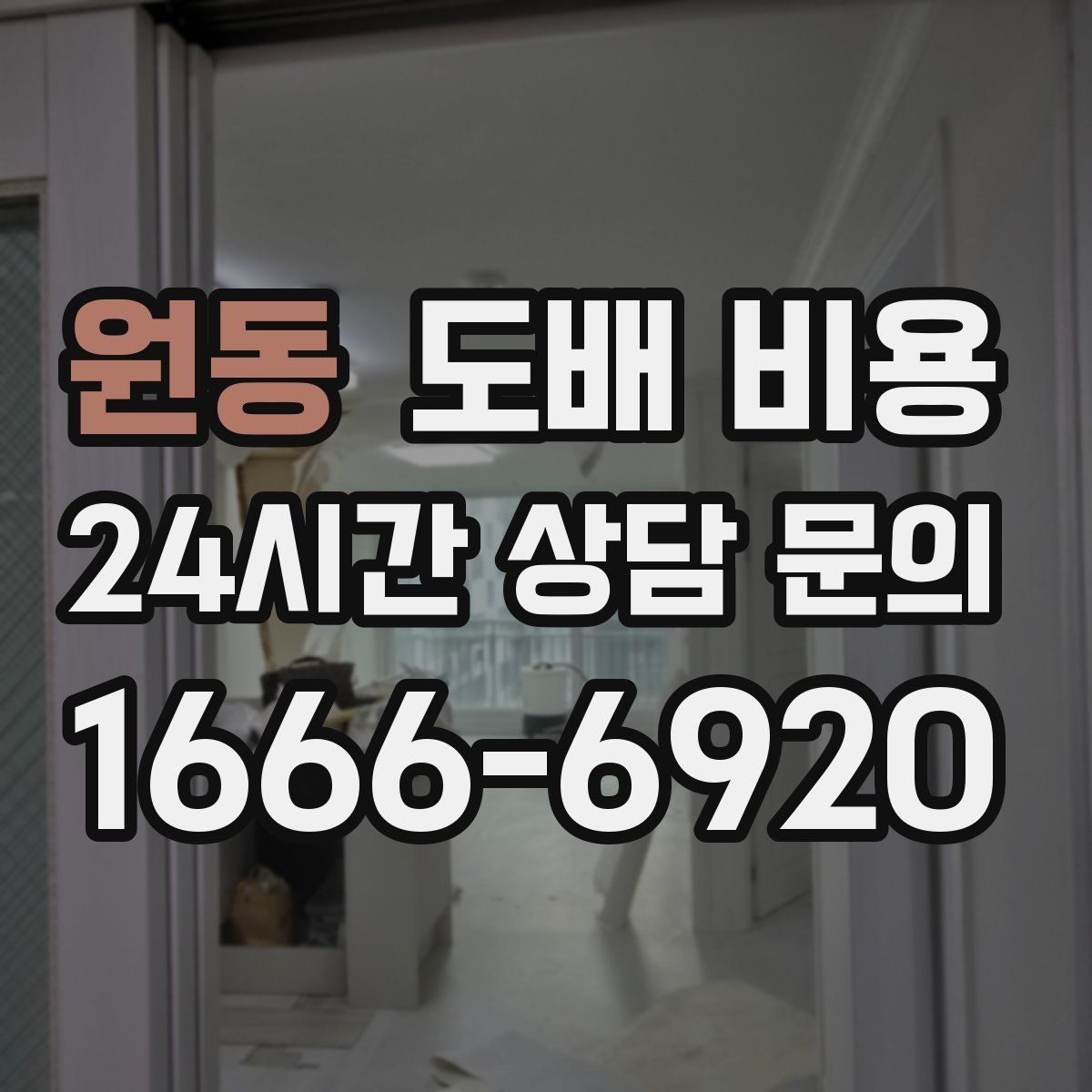 원동 도배 비용