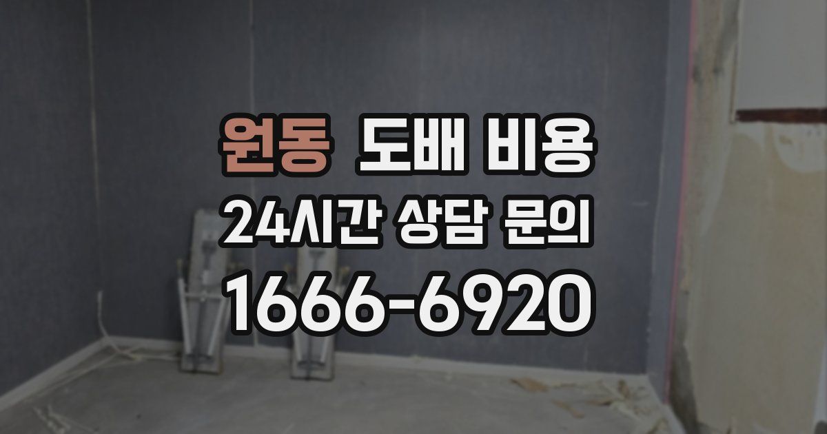 원동 도배 비용