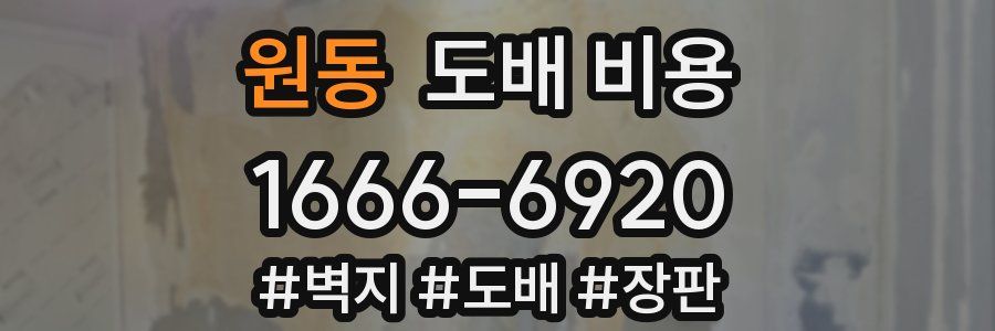 원동 도배 비용