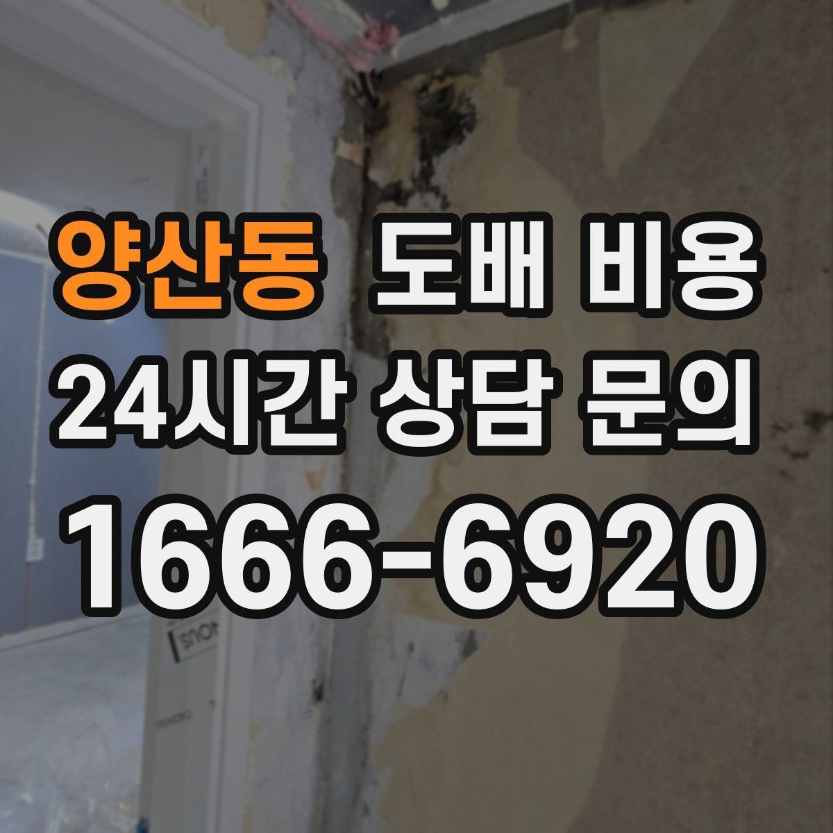 양산동 도배 비용