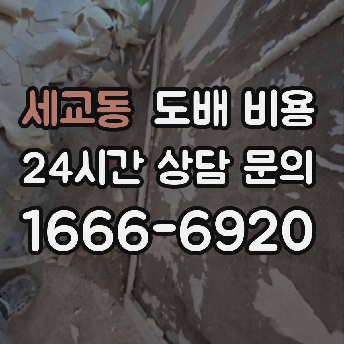 세교동 도배 비용