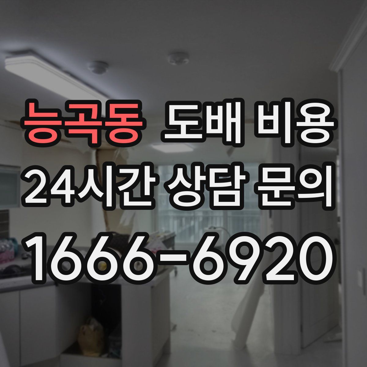 능곡동 도배 비용