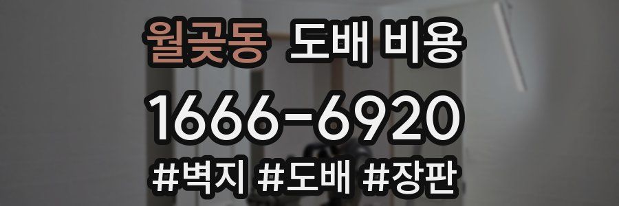 월곶동 도배 비용