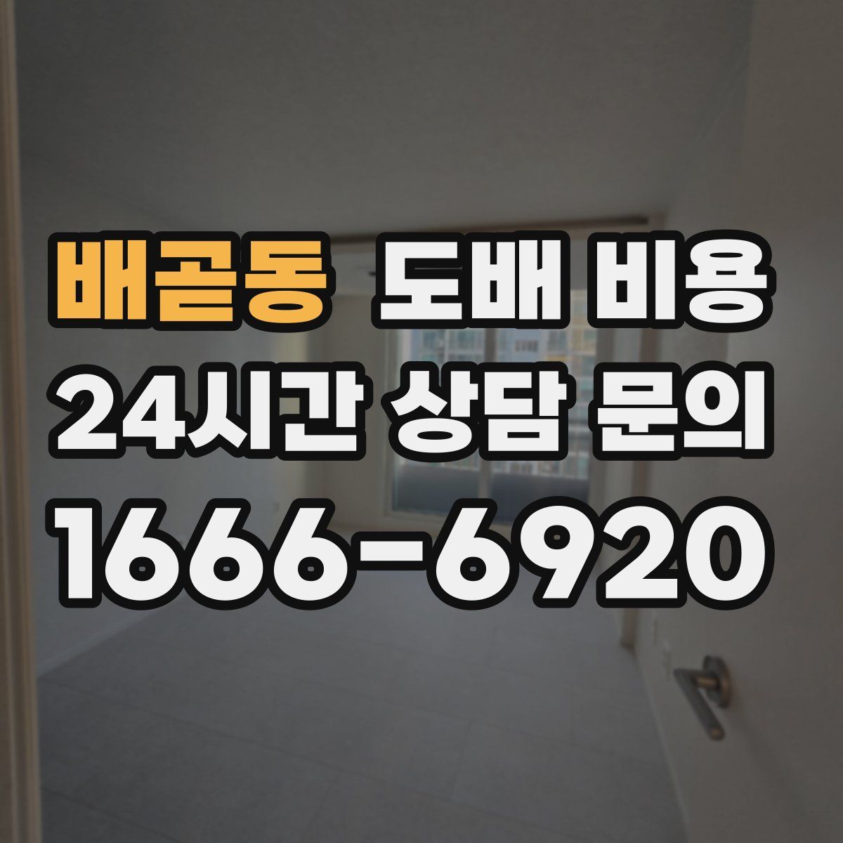 배곧동 도배 비용