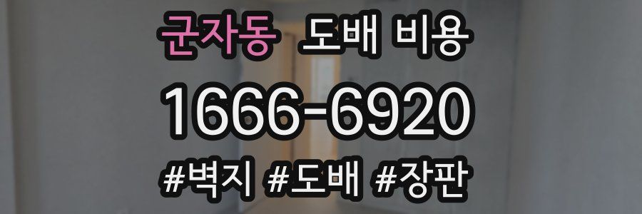군자동 도배 비용