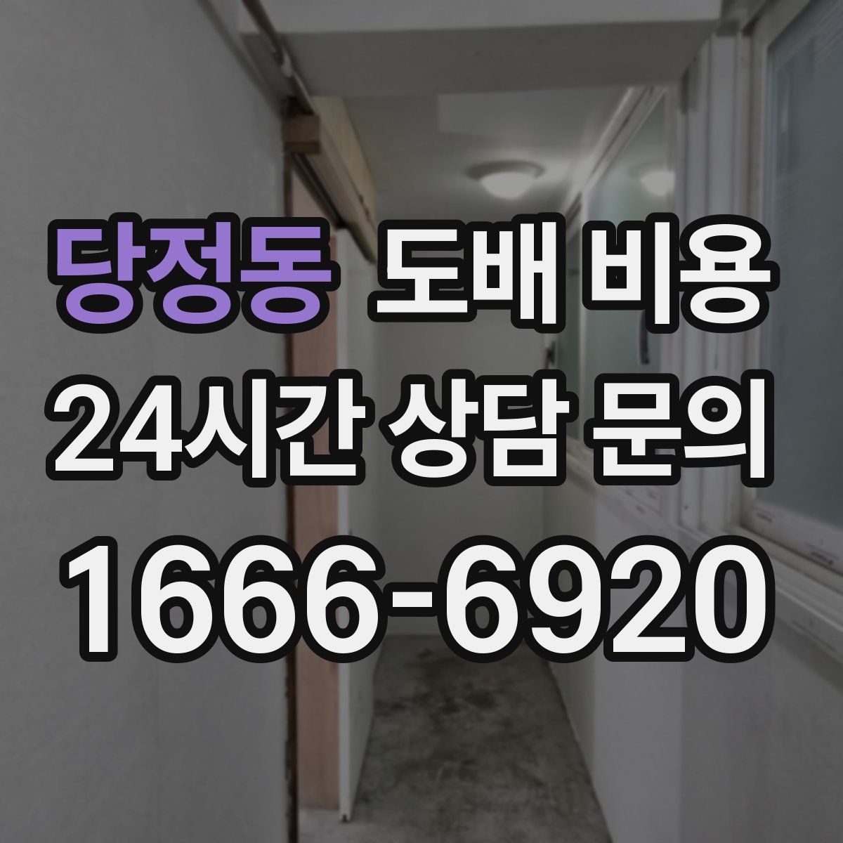 당정동 도배 비용