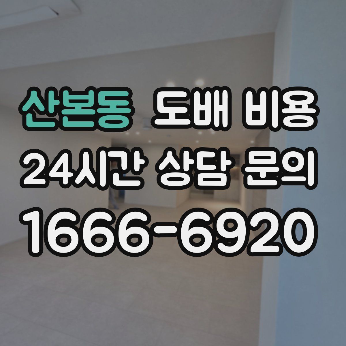 산본동 도배 비용