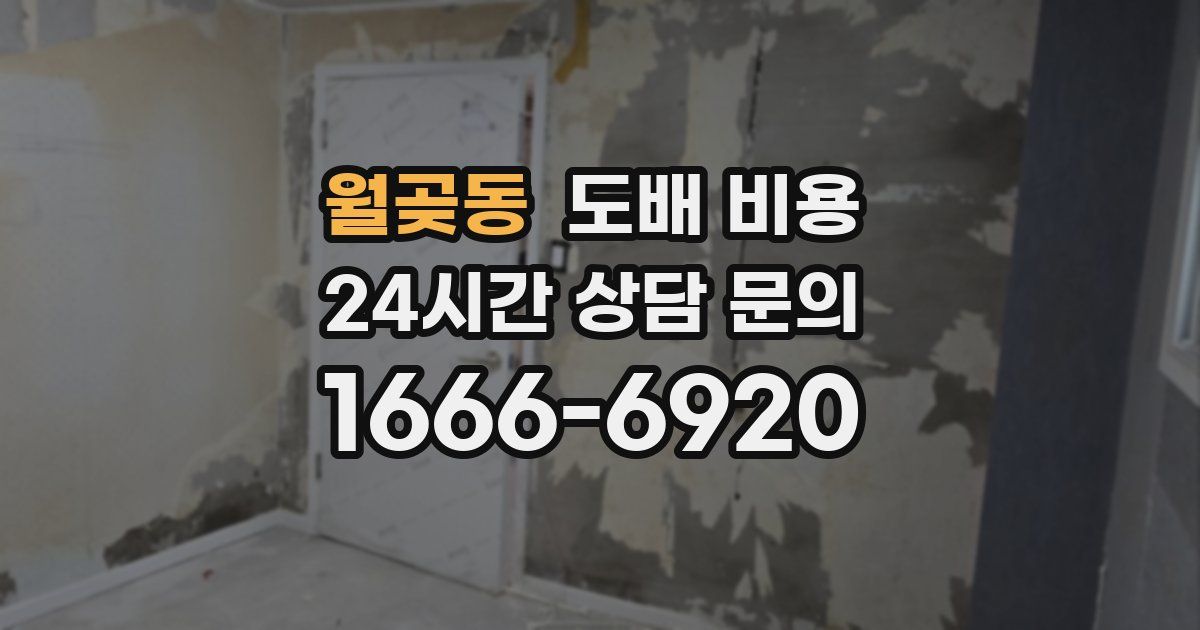 월곶동 도배 비용