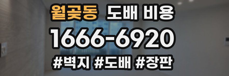월곶동 도배 비용