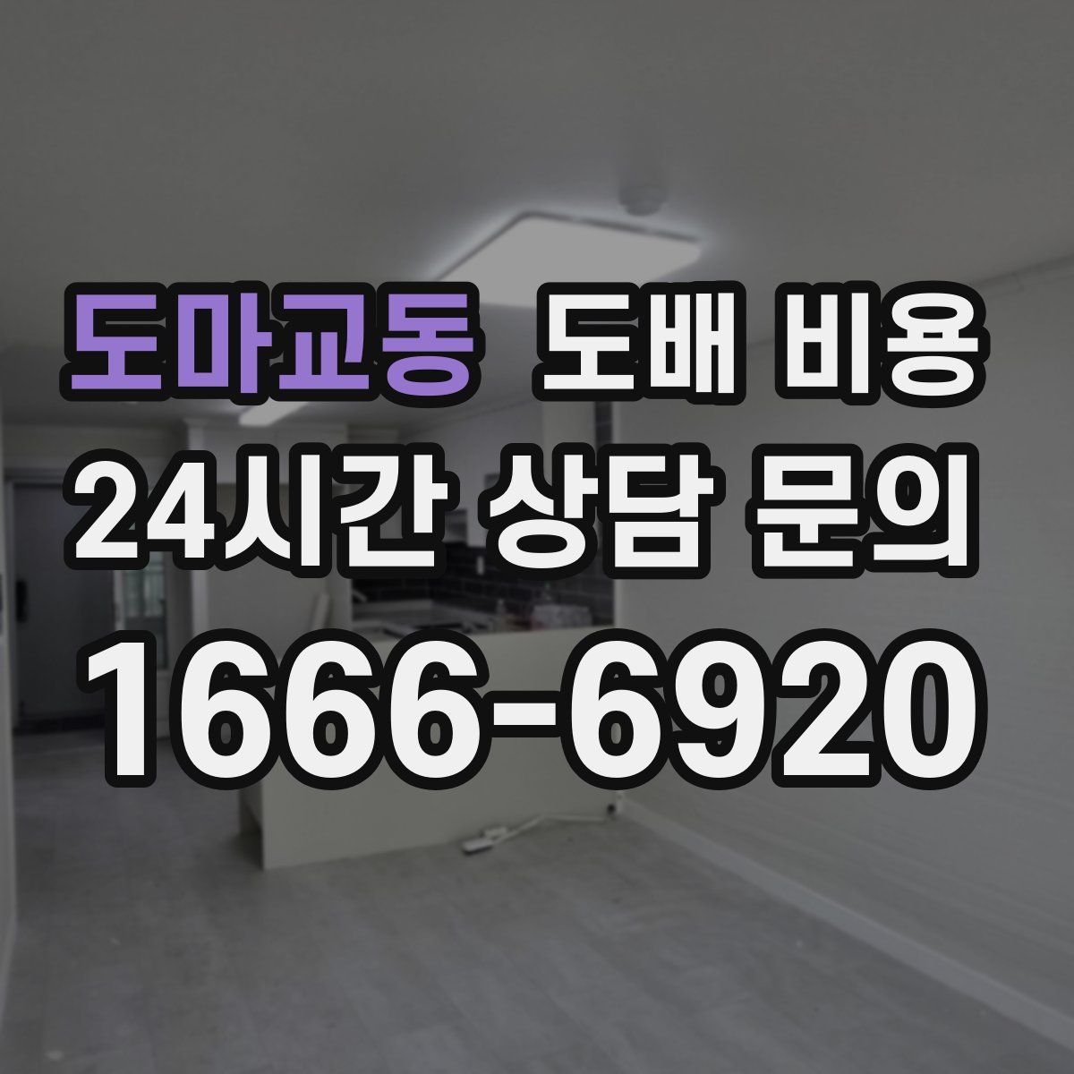 도마교동 도배 비용