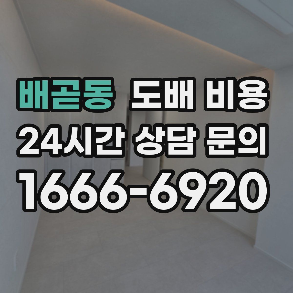 배곧동 도배 비용