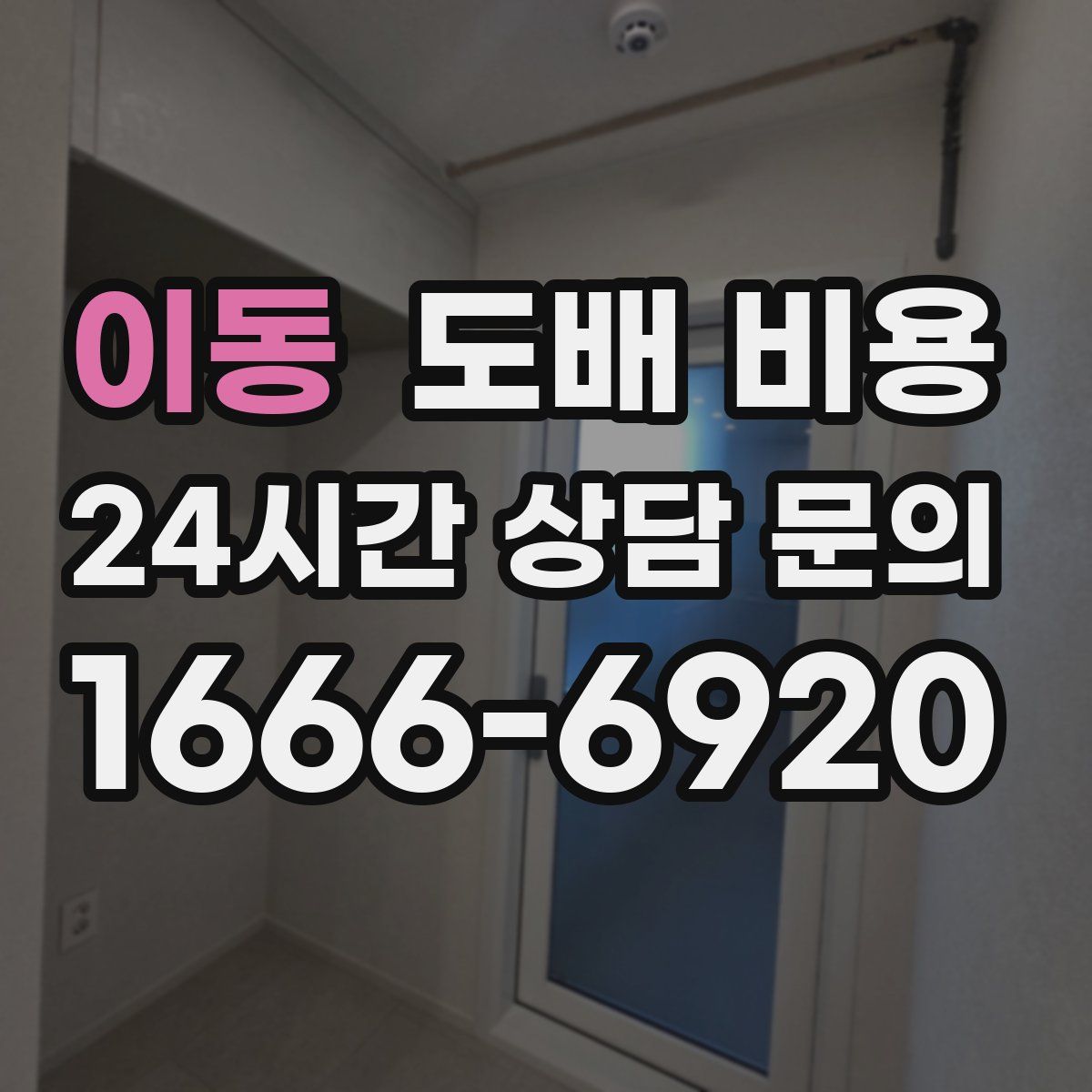 이동 도배 비용