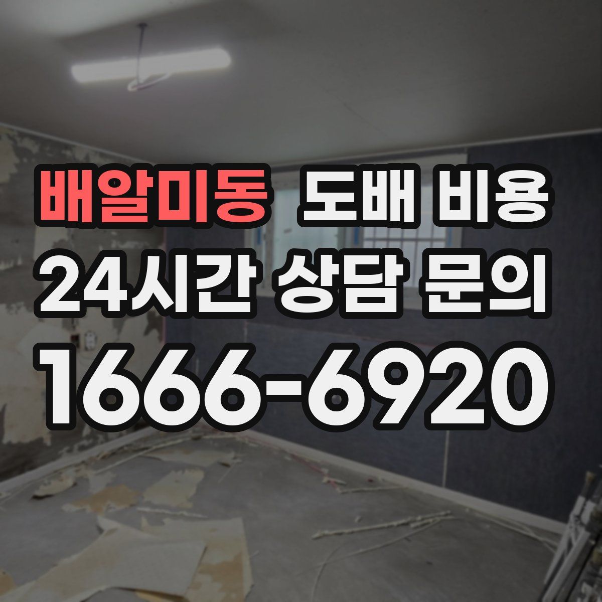배알미동 도배 비용