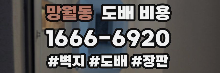 망월동 도배 비용