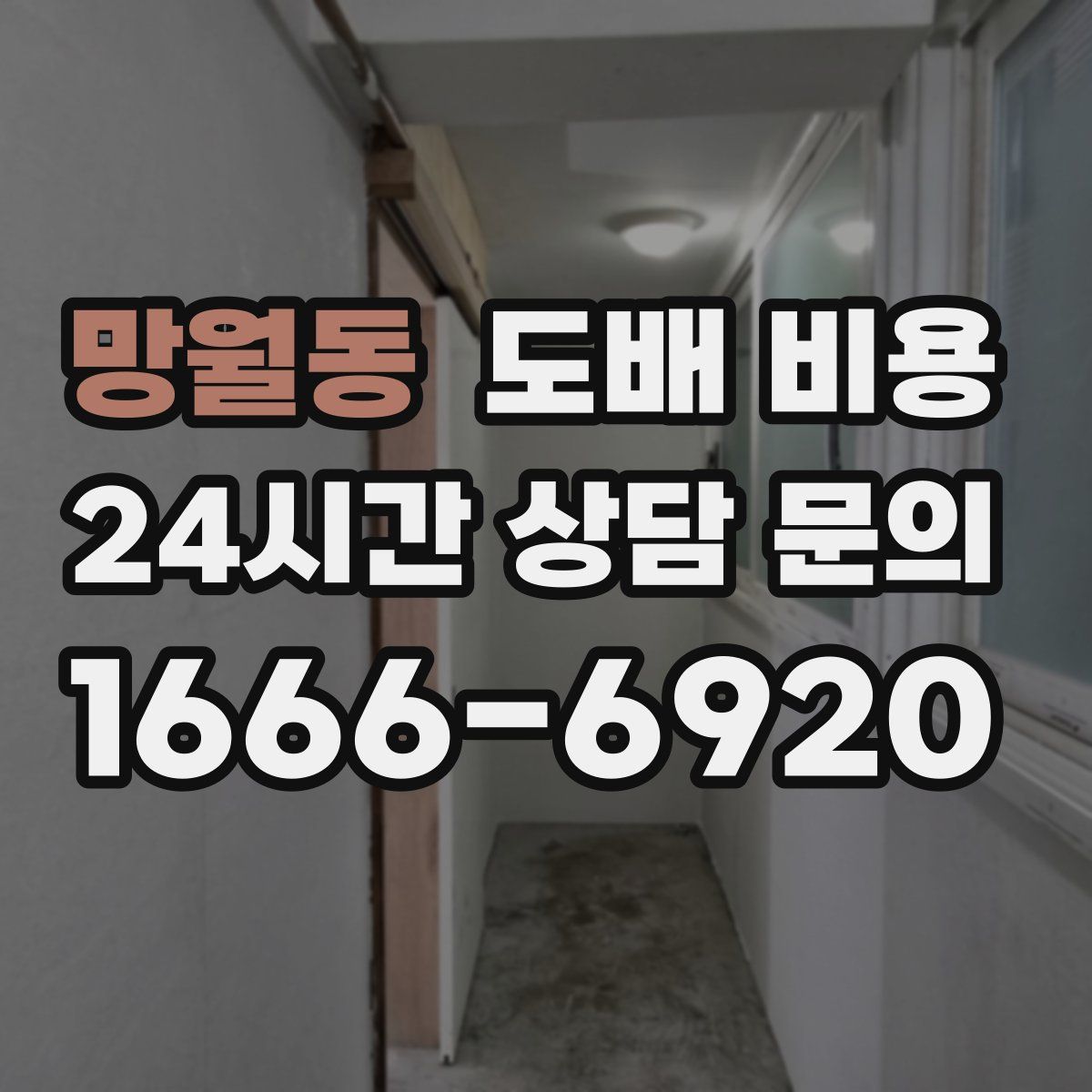 망월동 도배 비용