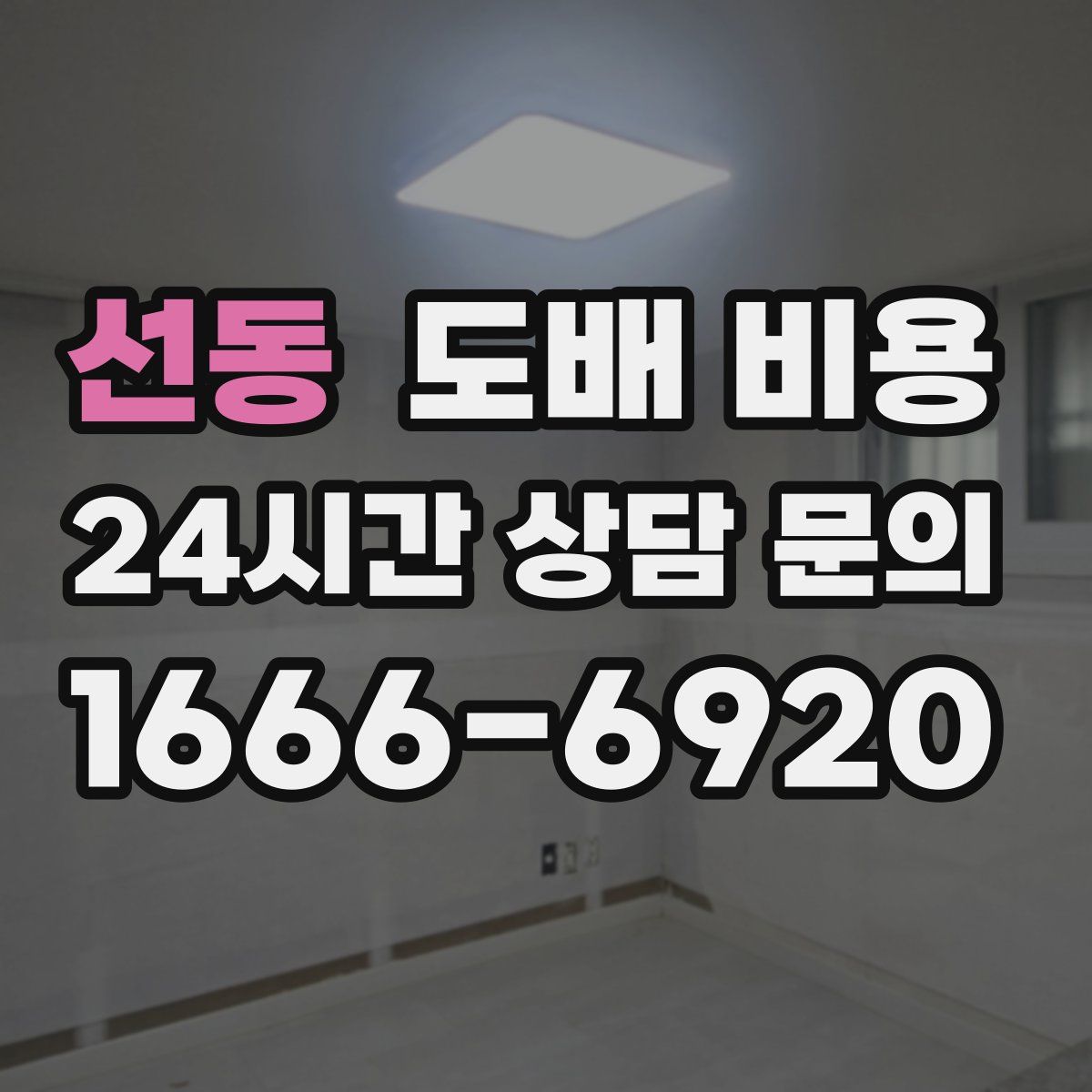선동 도배 비용
