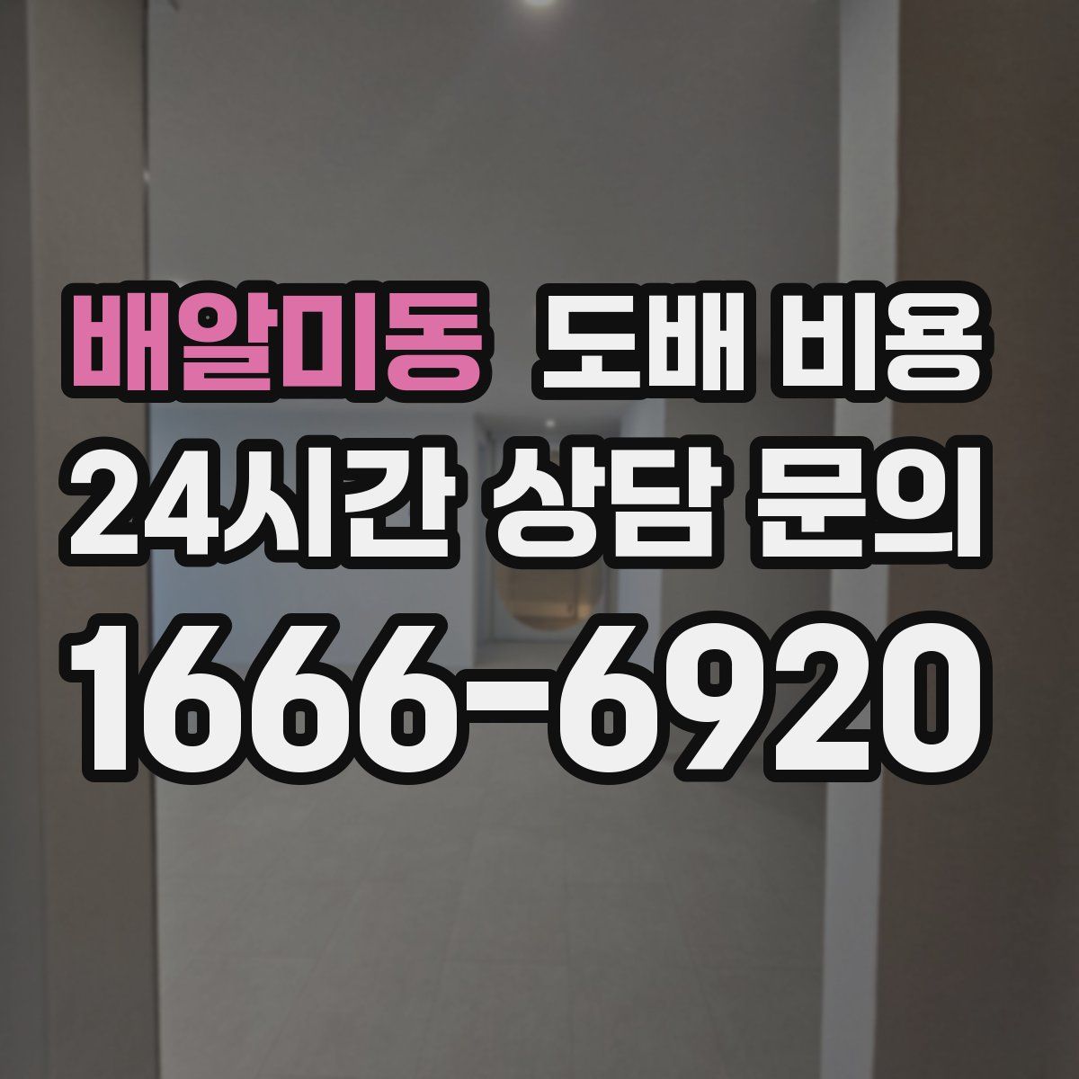 배알미동 도배 비용