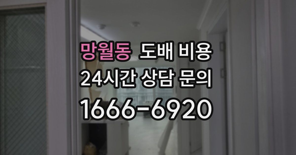 망월동 도배 비용