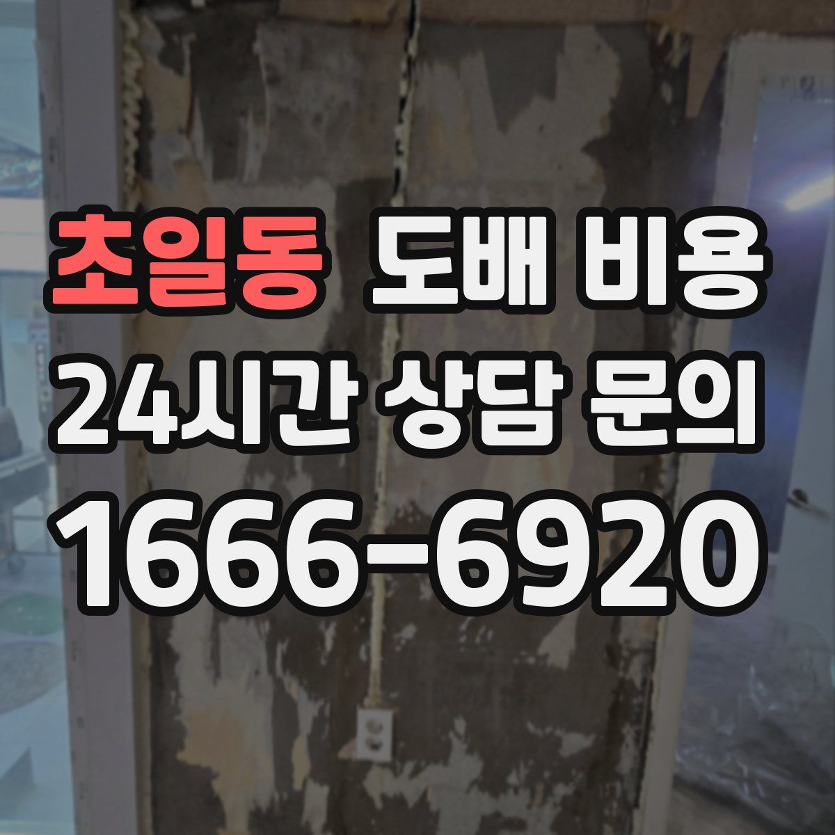 초일동 도배 비용