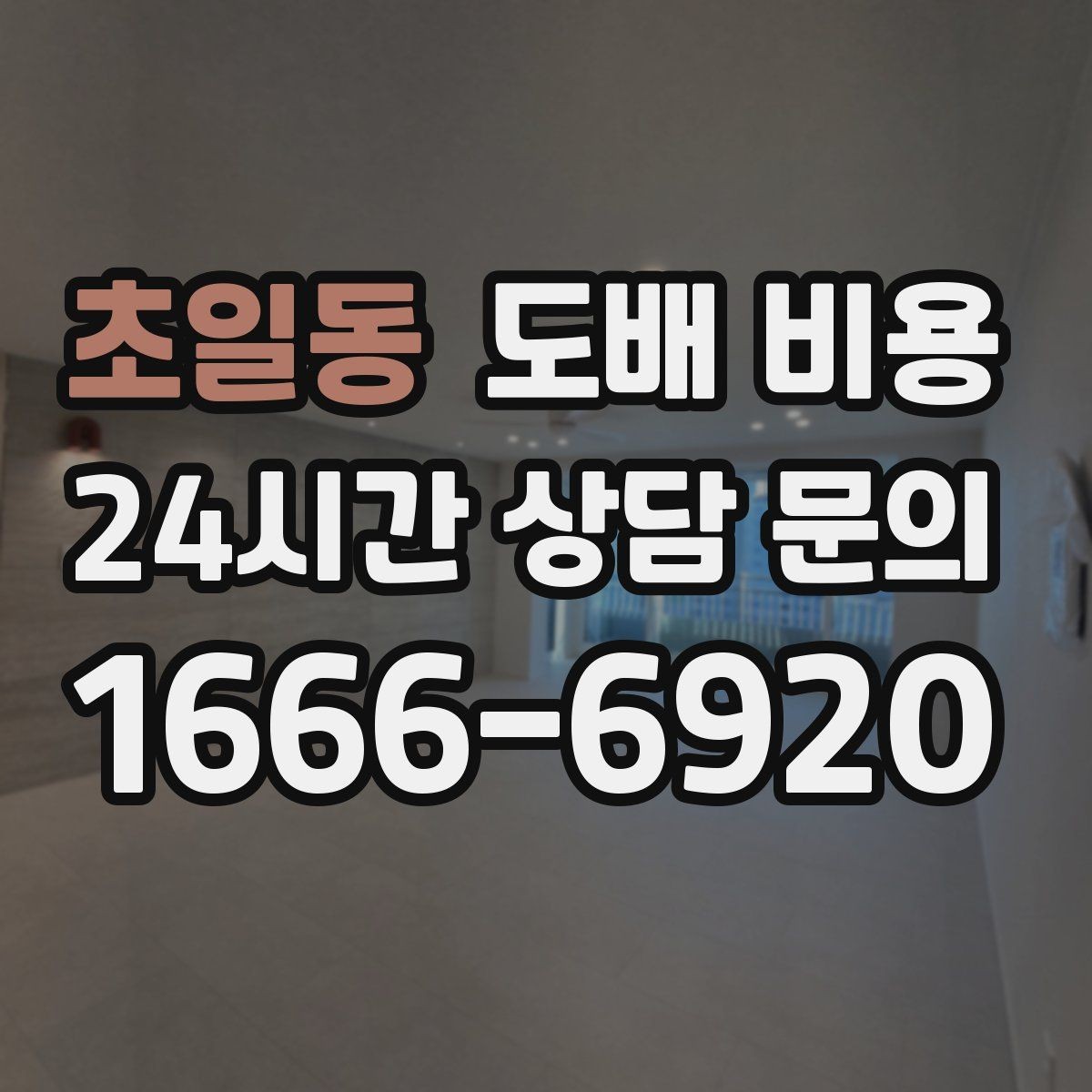 초일동 도배 비용 예산을 정할 때 참고할 점