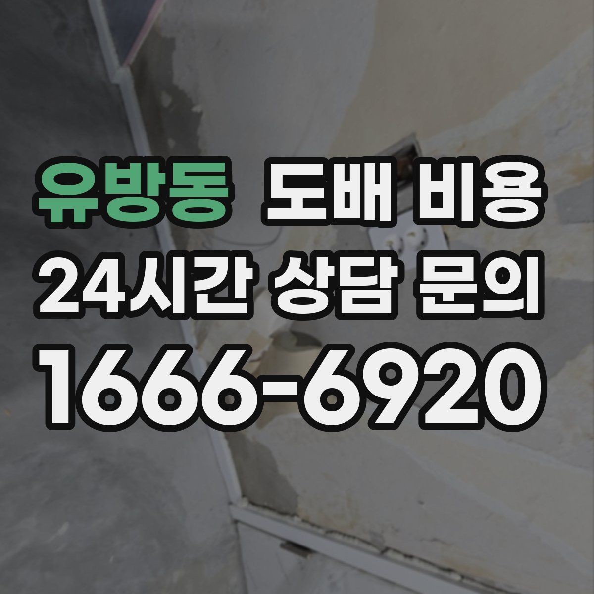 유방동 도배 비용