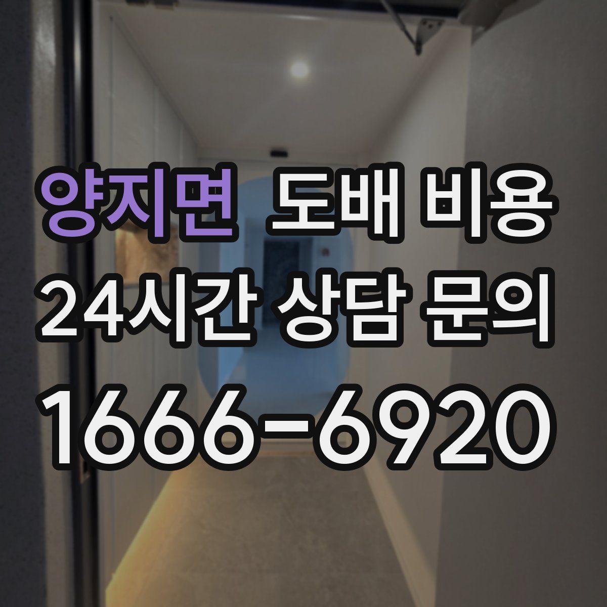양지면 도배 비용