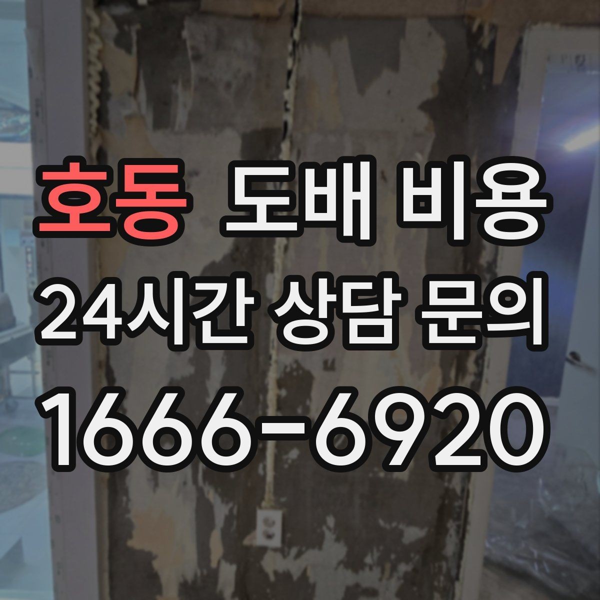 호동 도배 비용 확인 시 자주 묻는 질문