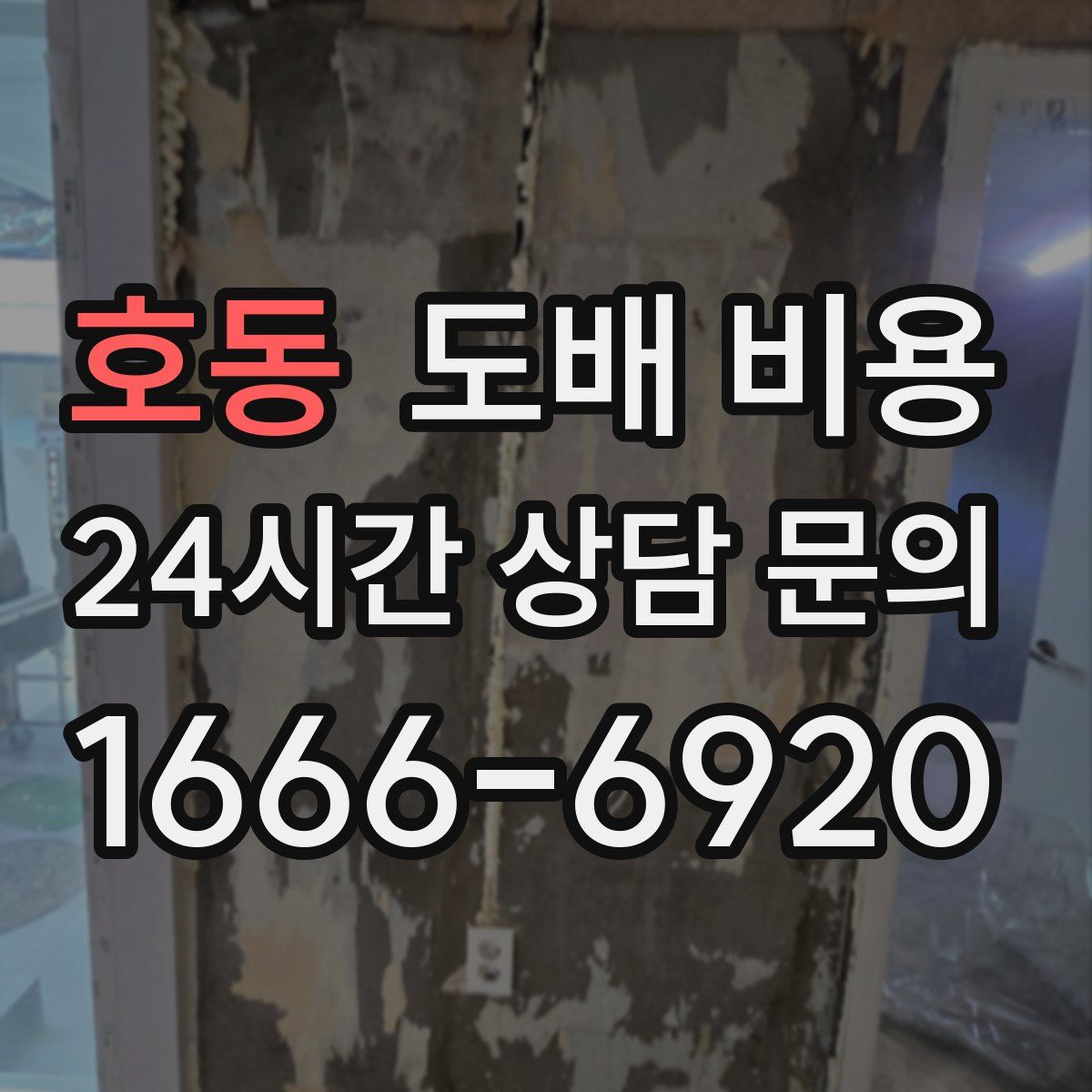 호동 도배 비용