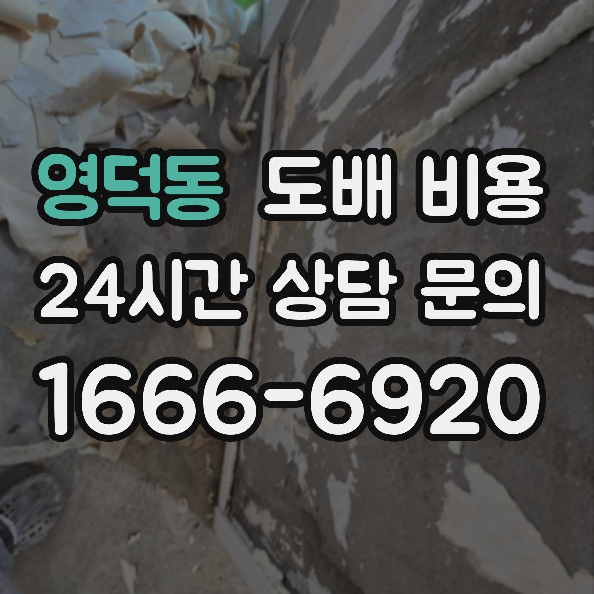 영덕동 도배 비용