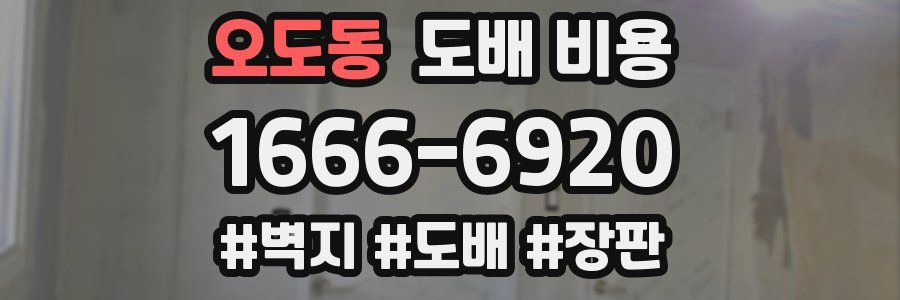 오도동 도배 비용